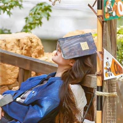 同居房客粤语